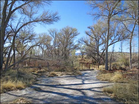 Crystal Springs