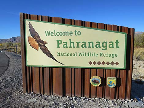 Pahranagat Visitor Center Road