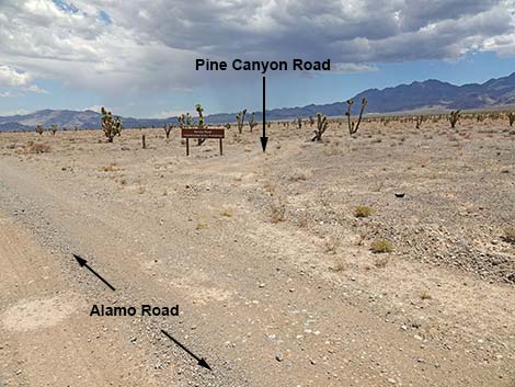 Alamo Road