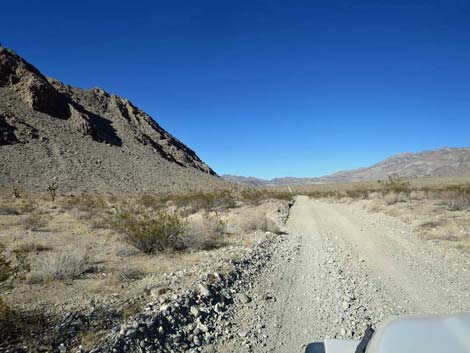 Alamo Road