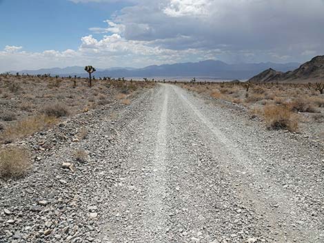 Alamo Road