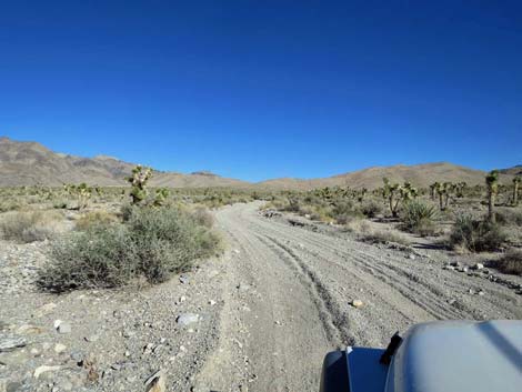 Deadhorse Road