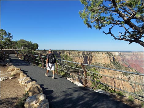 Rim Trail