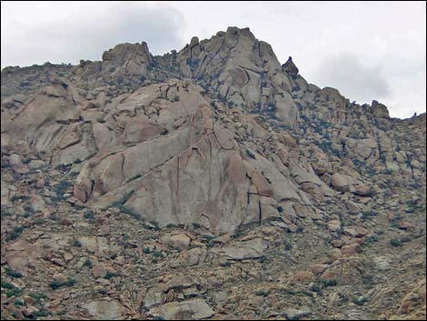 Cottonwood Canyon