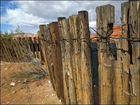Mud Wash Corral