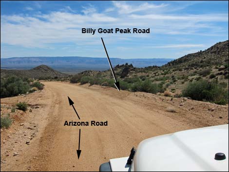 Arizona Road