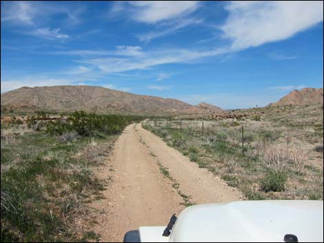 Red Bluff Spring Road