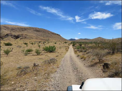 Red Bluff Spring Road