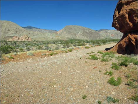 Whitney Pocket Overlook Trail