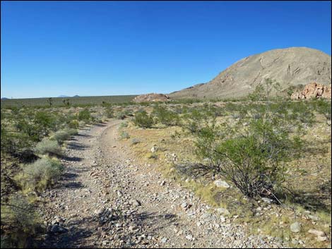 Whitney Pocket Overlook Trail