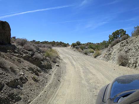 Christmas Tree Pass Road