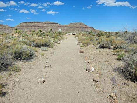 Cactus Garden Loop Trail