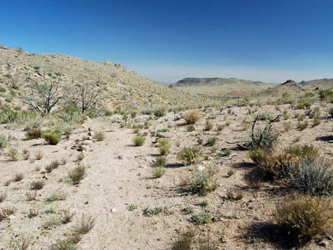 Mid Hills Loop Trail