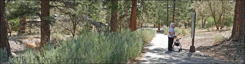 Acastus Trail