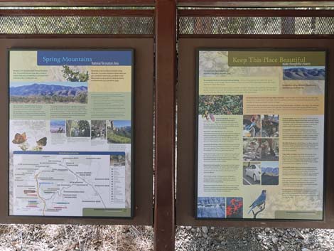 Acastus Trail