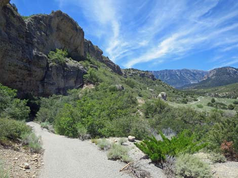 Pack Rat Trail