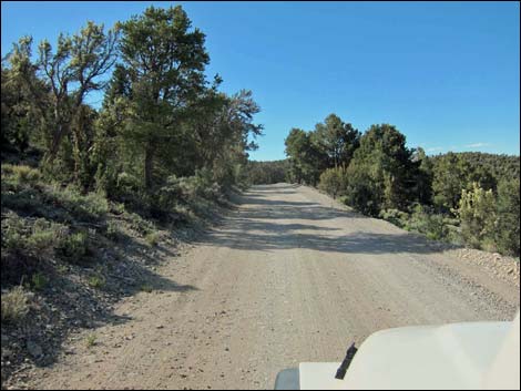 Macks Canyon Road