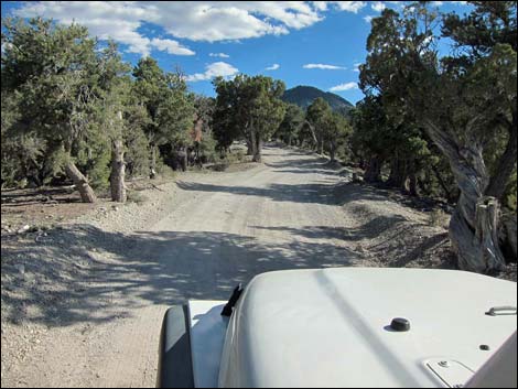 Macks Canyon Road