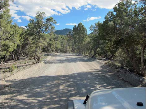 Macks Canyon Road