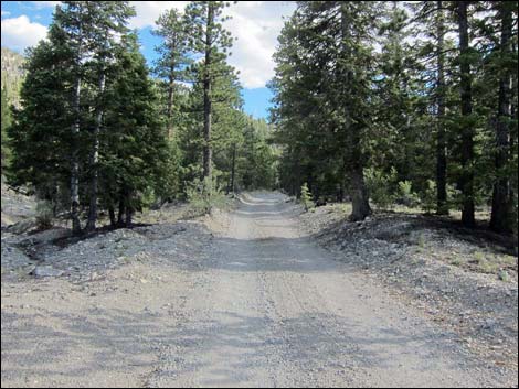 Macks Canyon Road