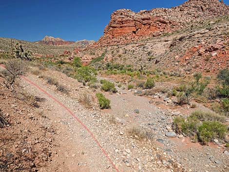 Calico Wash Trail