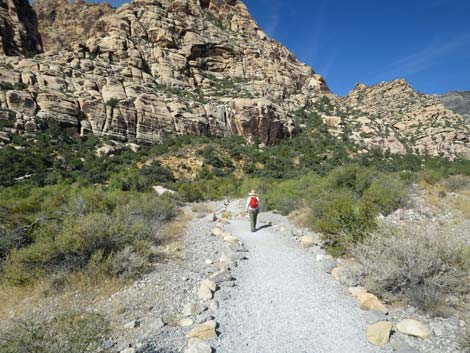 Childrens Discovery Trail