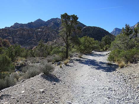 White Rock Loop Trail