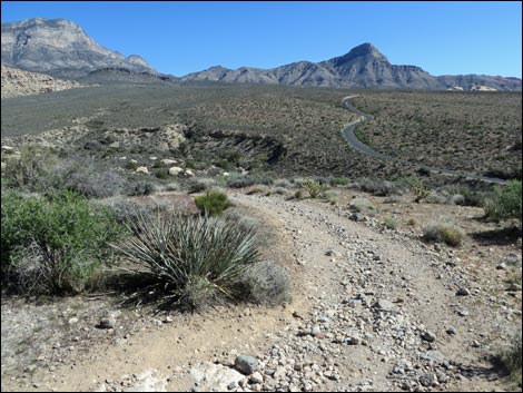 White Rock Loop Trail