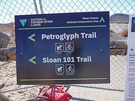 BLM 100 Trail
