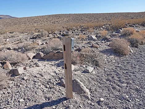 BLM 100 Trail