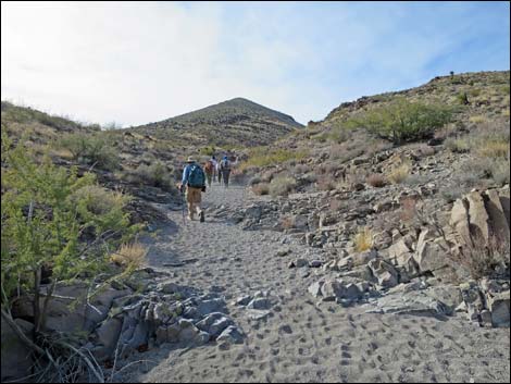 BLM 100 Trail