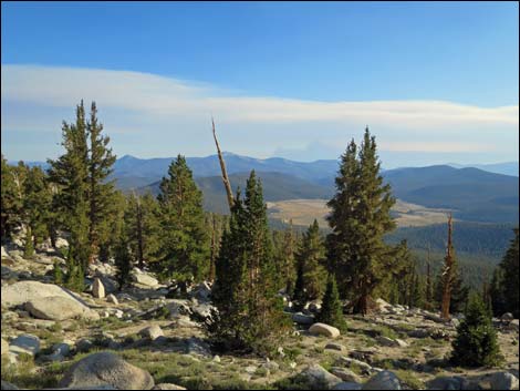 John Muir Trail