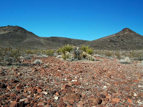 El Dorado Wilderness Area